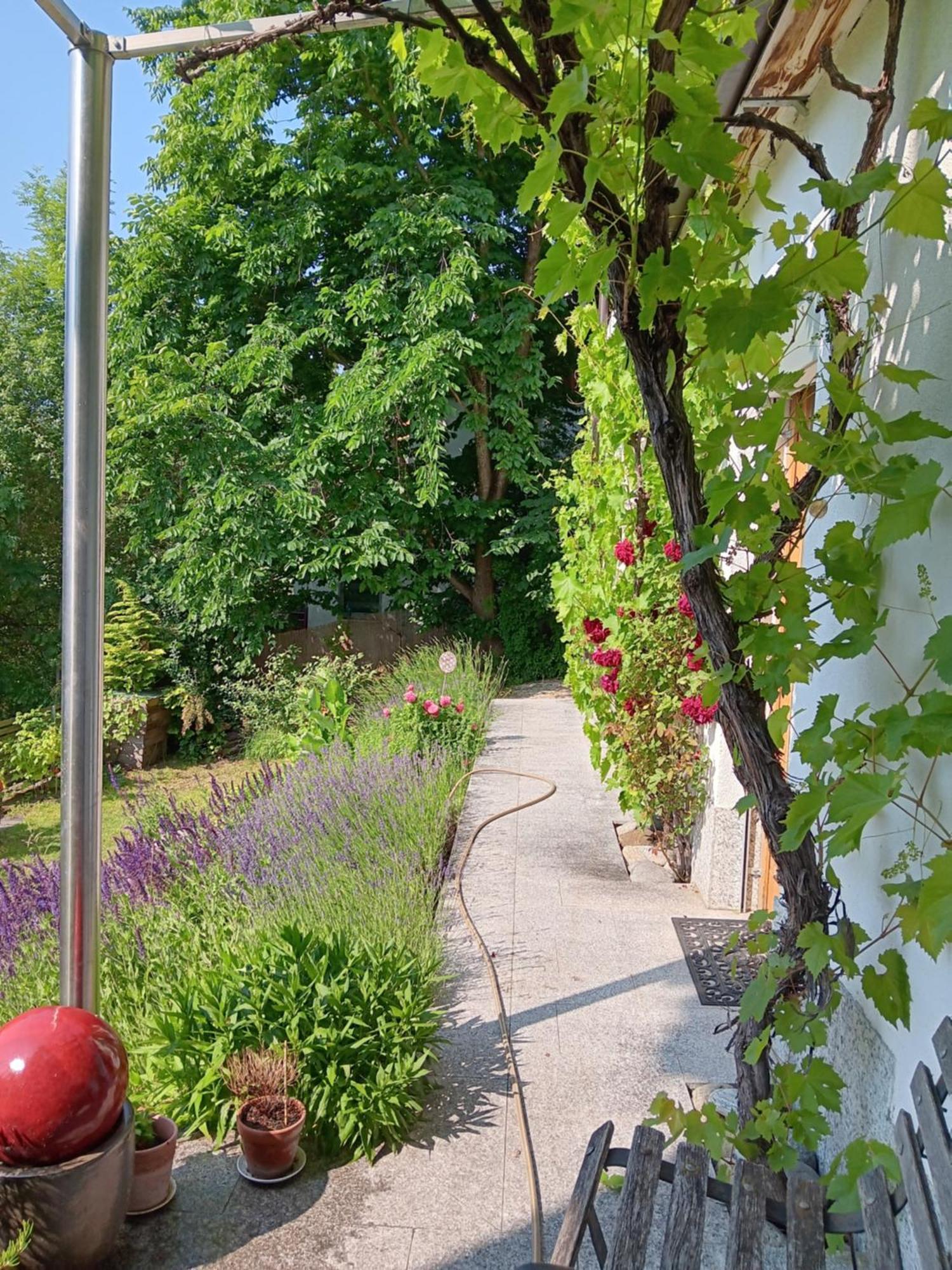 Studio Ualysses Arzl im Pitztal Zewnętrze zdjęcie